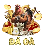 Đào tạo và hướng dẫn